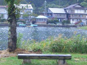 星湖亭 湖畔ベンチ(2) [ロケ地撮影画像]